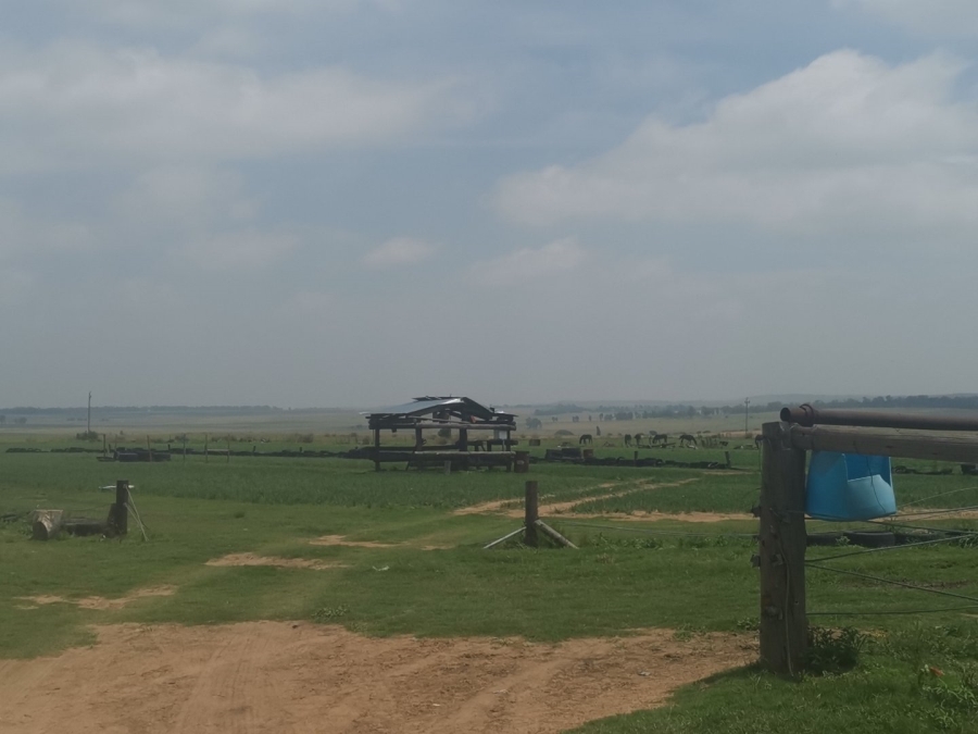 Commercial Property for Sale in Senekal Rural Free State